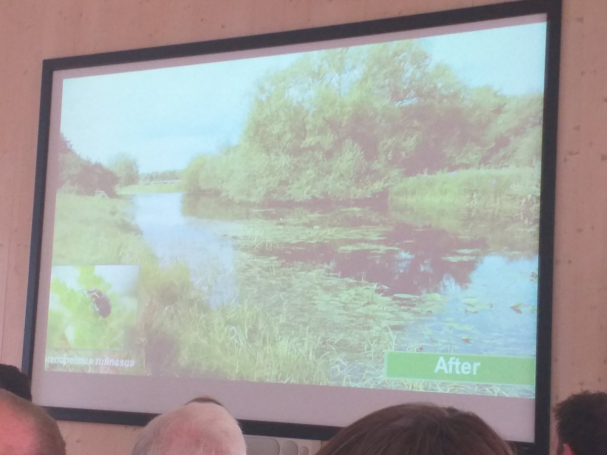 Interesting talk about bio control of invasive weeds in the uk and abroad. Good examples of success #bcpcweeds2019