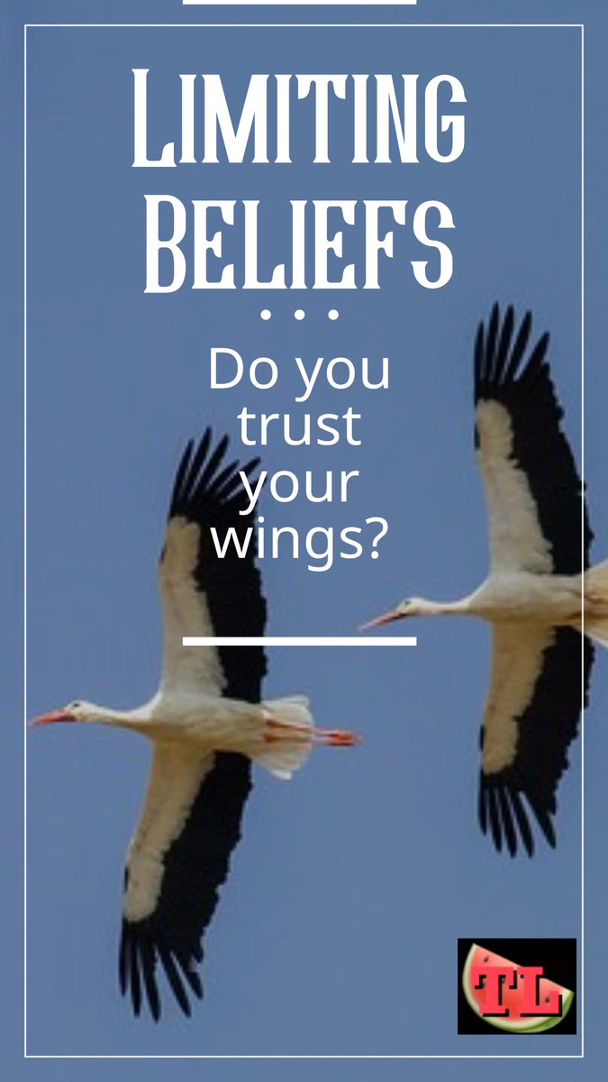 Limiting Beliefs are crushing to positive self-talk & internal drive, grit & determination to reach goals, explore how they developed, then let them go so you can soar!! #winningatlifetoday #trustyourwings #letitgo #grateful 🤩❤️🙏🍉