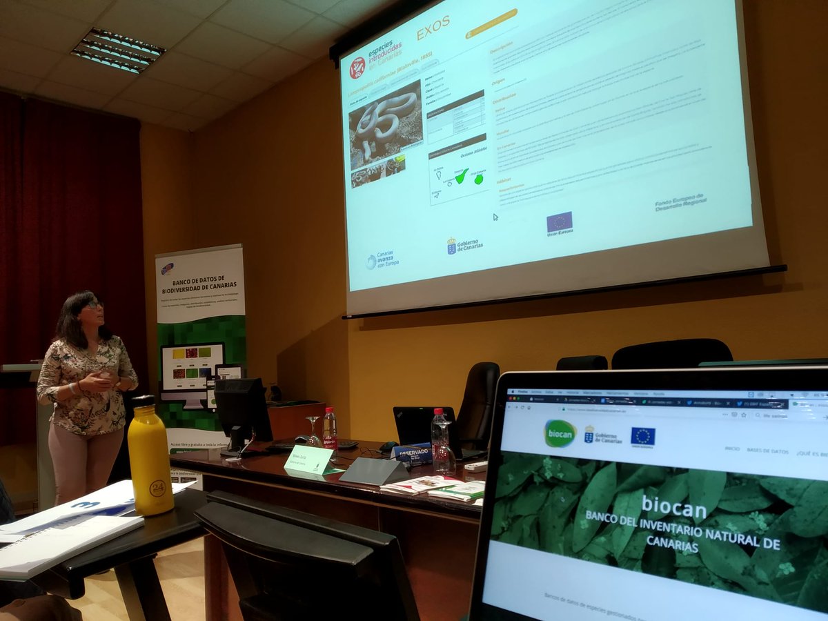 GbifEs's tweet photo. @GBIF @EFE_Murcia @RJBOTANICO @Latizal_SL @RM_Agua @mediambientcat @AytMolinaSegura @obsdelmar @diba @gob_na @REDIAM_Oficial @Ingurumena_Eus @UMU @mitecogob @MAmbienteRioja @CCyEAAragon @FBiodiversidad @GVAagroambient @territoriocan @UA_Universidad @SIBICorg @IEOMurcia @LifeIntemares @lifefluvial @FECYT_Ciencia @CCiudadanaEs @Ibercivis @CiudadCiencia @CCiutadana @Cos4Cloud @leobejarano @cdalmases @frangica_sal @sostAMB @tejeRedes @PENCHO3 @anasequero @LSalinas184 @Agenda21Molina @OrthemSAU @caermurcia @Regmurcialimpia @MarmenorKO @mvalbala @asociacionanse @CienciasMarUA @submon @ORMurcia @PAcToMarMENOR Pasamos a Nieves Zurita de @territoriocan que nos presenta el Banco de Datos de la Biodiversidad de Canarias (#BIOCAN) disponible en https://t.co/IDxyDl86Oy

Es el registro oficial de la biota de Canarias con galerías, mapas, estadísticas y herramientas de análisis.

#InfoBio2019 https://t.co/a6zNzj2xPU