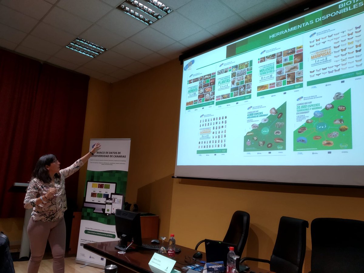 GbifEs's tweet photo. @GBIF @EFE_Murcia @RJBOTANICO @Latizal_SL @RM_Agua @mediambientcat @AytMolinaSegura @obsdelmar @diba @gob_na @REDIAM_Oficial @Ingurumena_Eus @UMU @mitecogob @MAmbienteRioja @CCyEAAragon @FBiodiversidad @GVAagroambient @territoriocan @UA_Universidad @SIBICorg @IEOMurcia @LifeIntemares @lifefluvial @FECYT_Ciencia @CCiudadanaEs @Ibercivis @CiudadCiencia @CCiutadana @Cos4Cloud @leobejarano @cdalmases @frangica_sal @sostAMB @tejeRedes @PENCHO3 @anasequero @LSalinas184 @Agenda21Molina @OrthemSAU @caermurcia @Regmurcialimpia @MarmenorKO @mvalbala @asociacionanse @CienciasMarUA @submon @ORMurcia @PAcToMarMENOR Pasamos a Nieves Zurita de @territoriocan que nos presenta el Banco de Datos de la Biodiversidad de Canarias (#BIOCAN) disponible en https://t.co/IDxyDl86Oy

Es el registro oficial de la biota de Canarias con galerías, mapas, estadísticas y herramientas de análisis.

#InfoBio2019 https://t.co/a6zNzj2xPU