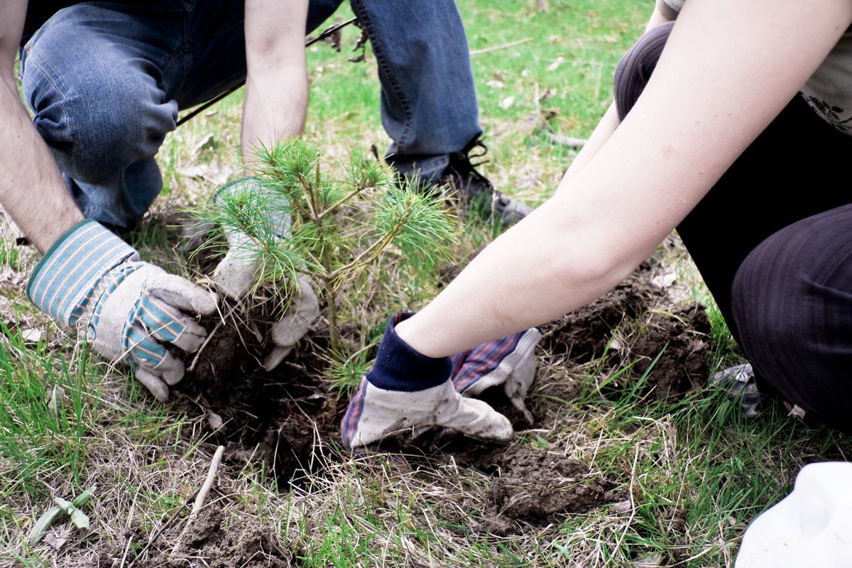 Cheltenham Borough Council (@cheltenhambc) on Twitter photo The council’s parks team have pledged to plant one thousand trees across the greenspaces of #Cheltenham in support of The Woodland Trust’s climate change campaign “The Big Climate Fightback”.
@WoodlandTrust <a href="/CheltenhamParks/">Cheltenham Parks</a>
cheltenham.gov.uk/news/article/2… The council’s parks team have pledged to plant one thousand trees across the greenspaces of #Cheltenham in support of The Woodland Trust’s climate change campaign “The Big Climate Fightback”.
@WoodlandTrust <a href="/CheltenhamParks/">Cheltenham Parks</a>
cheltenham.gov.uk/news/article/2…