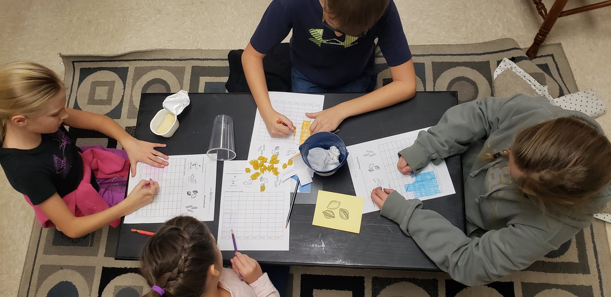 CorynnMoyers's tweet photo. "Mrs. Moyers, why do you have a swimming pool full of noodles?" The learners were curious the moment they walked in, which led to a great time learning about nonrenewable resources by mining for pasta! #tcspublic #FarrarFrogs @edens_debbie #sciencefun https://t.co/V6BrayCyoG