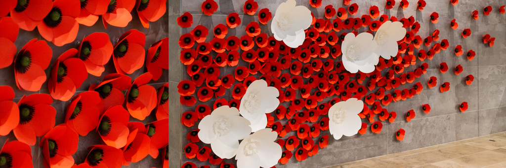Lest We forget. We wanted to share with you all our
paper poppy installation installed last week to honour Remembrance Day. A big thank you to @squinnandco, @TodLondon, <a href="/Wigstonpaper/">Wigston Paper</a> and <a href="/Siren_Design/">Siren Design</a>
 for making this all possible  #CharterCollective #LestWeForget #RemembranceDay