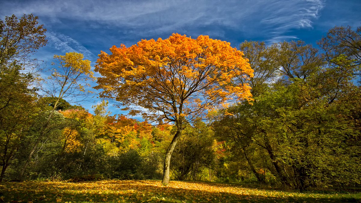 MOSpeedImages's tweet photo. This seems like it was years ago. Wait, it was, we went from Summer right to Winter this year. #whathappenedtofall https://t.co/yNkdsWKk8N