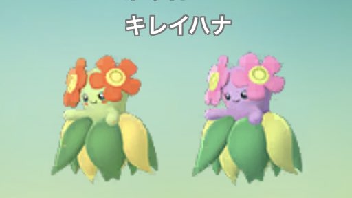 クサイハナ Hashtag Pa Twitter クサイハナ Hashtag Pa Twitter