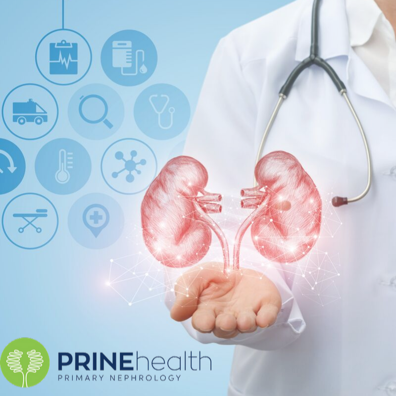 PRINEhealth's tweet photo. Chronic kidney disease occurs when the kidney gradually loses its function. Loss of function could lead to a dangerously excessive buildup of fluid in the kidney. Click here to learn more: https://t.co/CB5RTLgELS #PRINEHealth #Manhasset #Bellmore #Freeport #RockvilleCentre https://t.co/1e4B6b8GOH