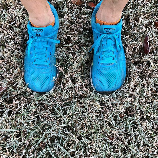 britishbulldog's tweet photo. Four frosty miles in the Fli-Lyte 3. Who else loves their Topos? 
@topoathletic #topotribe #topoflilyte3 https://t.co/R3aO0cP9R5 https://t.co/wFN4eaVqtj