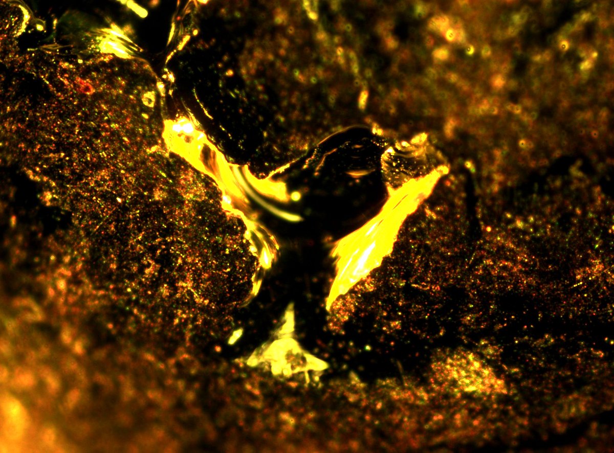 erin_rod_phd's tweet image. Gold (Au) Shot 99.95+% pure. All that glitter is gold! My precious! #RealTimeElements #IYPT2019 #RealTimeChem #Chemistry @cenmag @RealTimeChem