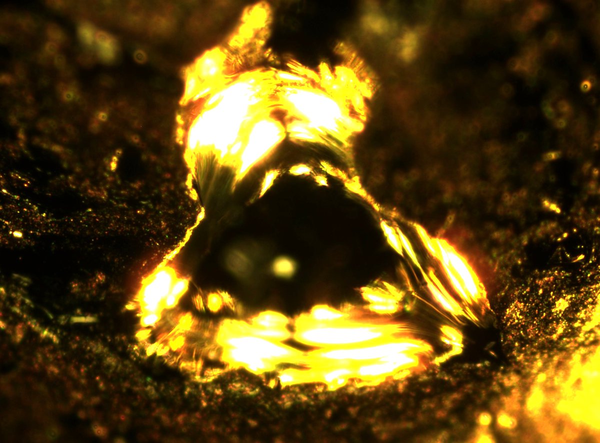 erin_rod_phd's tweet image. Gold (Au) Shot 99.95+% pure. All that glitter is gold! My precious! #RealTimeElements #IYPT2019 #RealTimeChem #Chemistry @cenmag @RealTimeChem