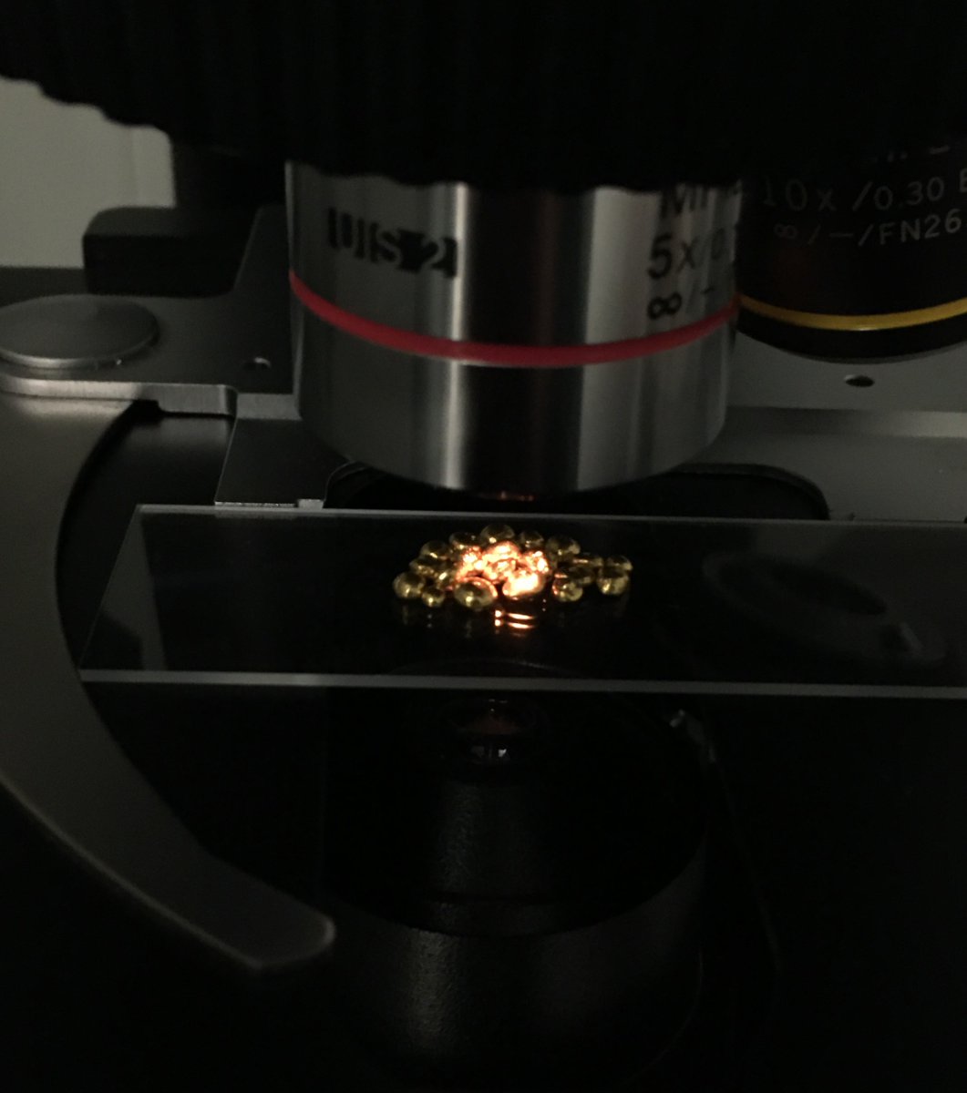 erin_rod_phd's tweet image. Gold (Au) Shot 99.95+% pure. All that glitter is gold! My precious! #RealTimeElements #IYPT2019 #RealTimeChem #Chemistry @cenmag @RealTimeChem