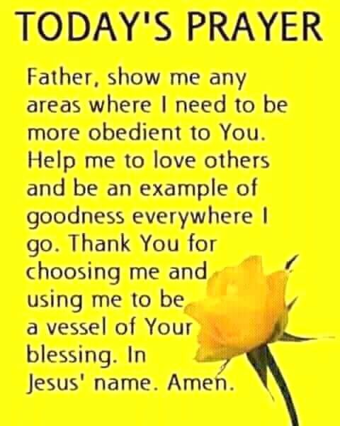 Brian Adams (@thomasj24113078) on Twitter photo 