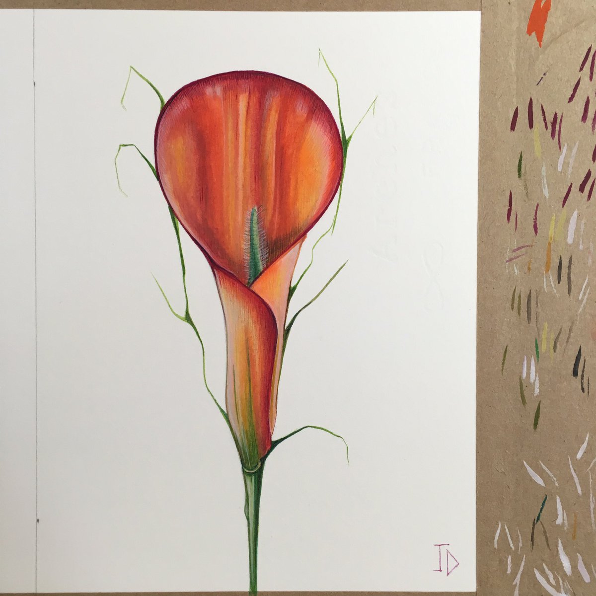 jdaviesarts's tweet photo. Raw original flowers Lillie red and orange. Watercolour on arches paper, non surreal things JDavies artworks #art #artist #fineart #contemporaryart #surrealism #artlondon #artgallery #painting #contemporarypainting #drawing #jdaviesarts #watercolour #contemporarydrawing #artstud https://t.co/pyHC5wU57Z
