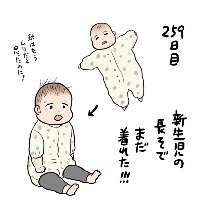 日記✍️ベビーカーは私もソンもだいぶ慣れてきた  抱っこ紐はそろそろキツい体重に…! 