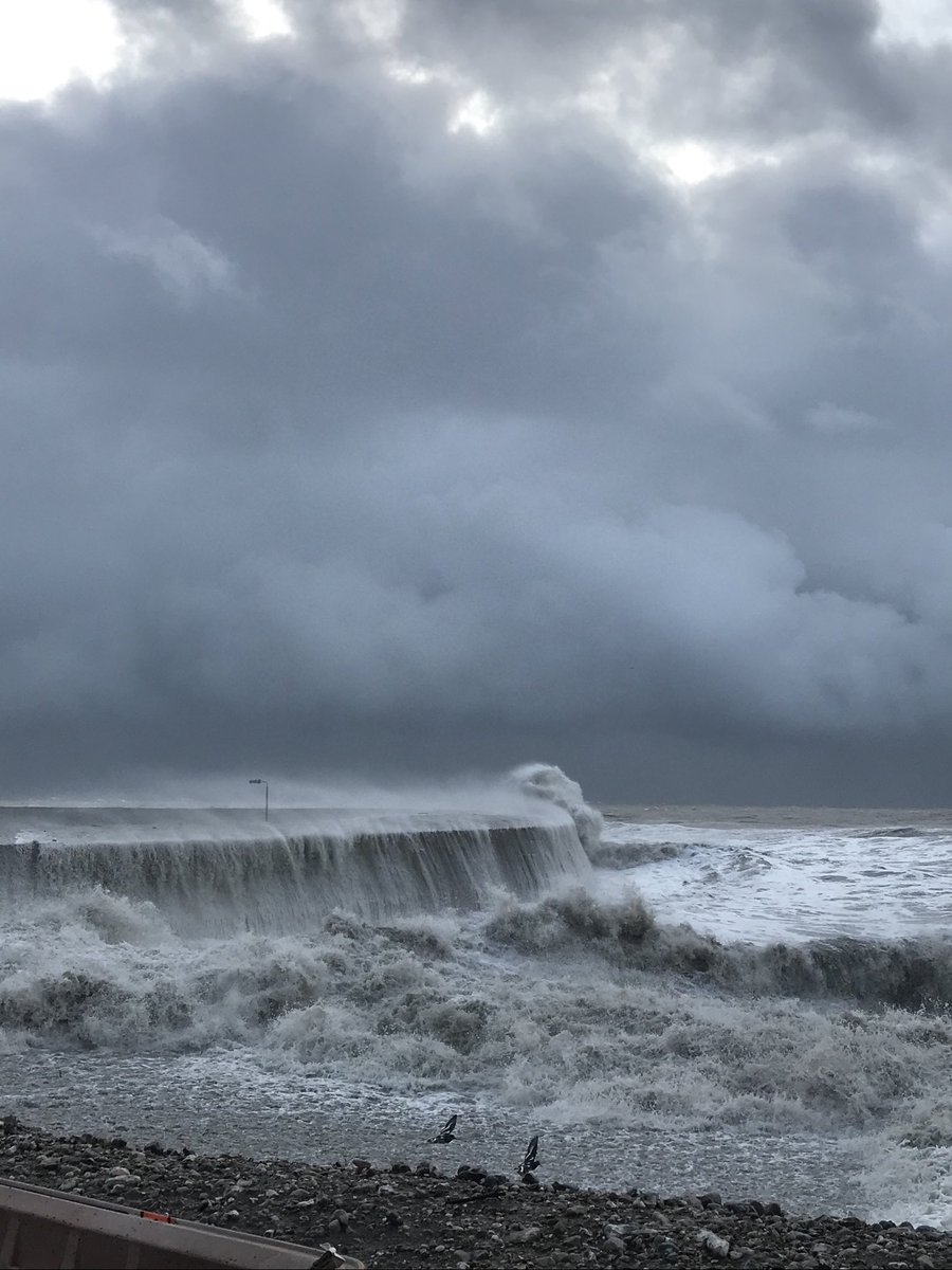 Nick's Fishing Trips (@lymefishing) on Twitter photo 