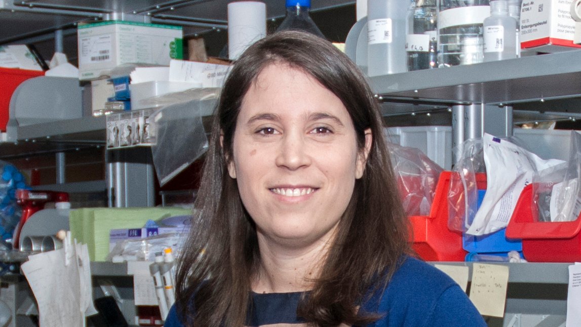 ✅Ciclo #8MCiencia

✳️Entrevista: Magdalena Paolino🇺🇾 (<a href="/karolinskainst/">Karolinska Institutet</a>🇸🇪)

🔴Investiga procesos moleculares vinculados a cáncer, sistema inmune y diabetes

💪El ciclo #8MCiencia es una coproducción de la @sncyt_uy  y <a href="/SobreCiencia/">SobreCiencia</a>

Nota completa aquí👇👇👇
sobreciencia.uy/cientifica-uru…