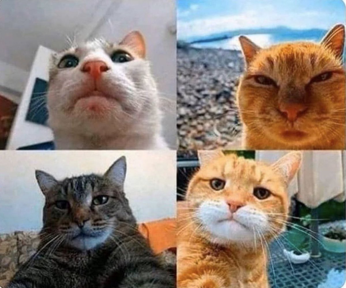 سبک عکس پروفایل مردای بالای ۴۵ سال فعال رسانه های مجازی:)))