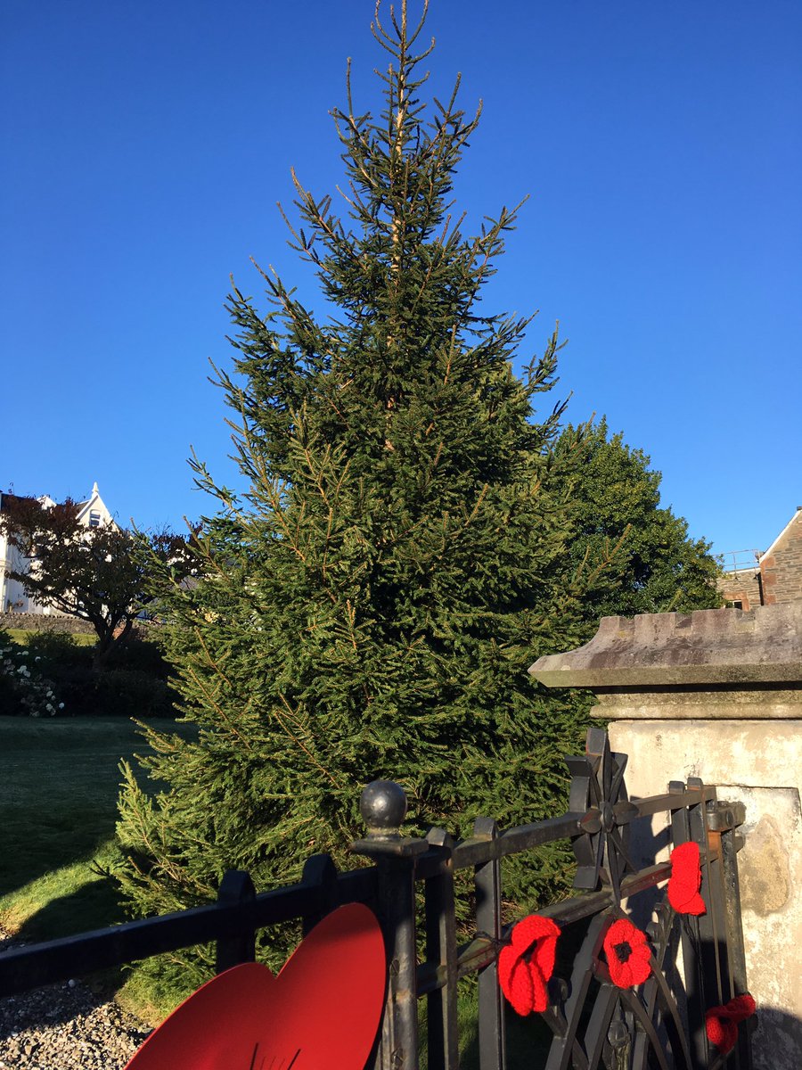 DunoonLights's tweet image. Tree is in place ready to be decorated! #dunoon #christmaslights #candocommunity