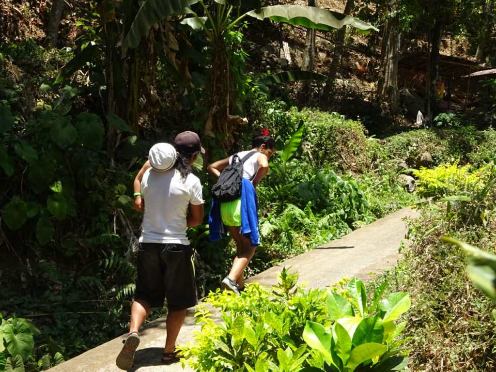 Les cascades de Sekumpul avec Gede Rajendra et Erwin Kurniawan #baliwaterfall balisolo.com/2019/11/14/les…