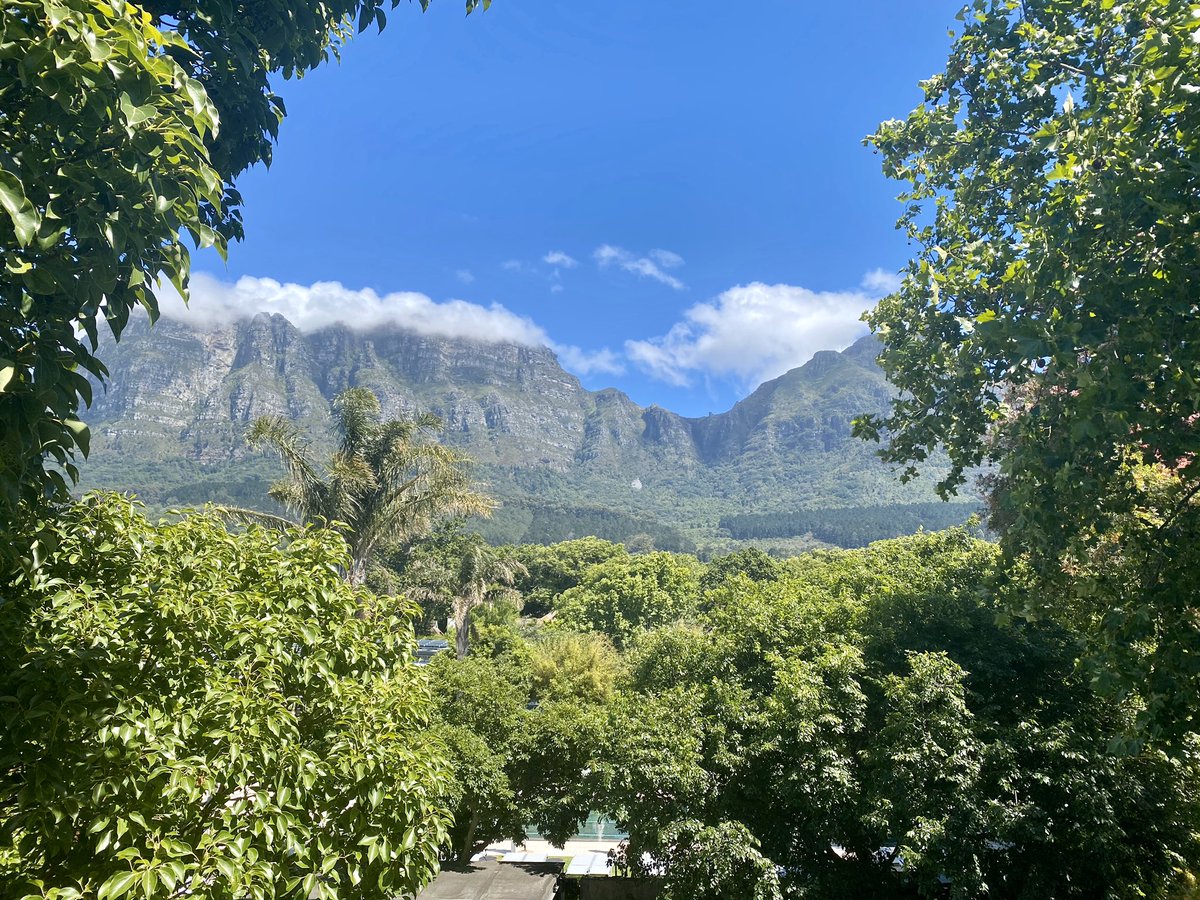 diegoamesap's tweet photo. #Flotation19 has been a great experience in beautiful Cape Town! Looking forward to 2021 https://t.co/a2rld2onn0