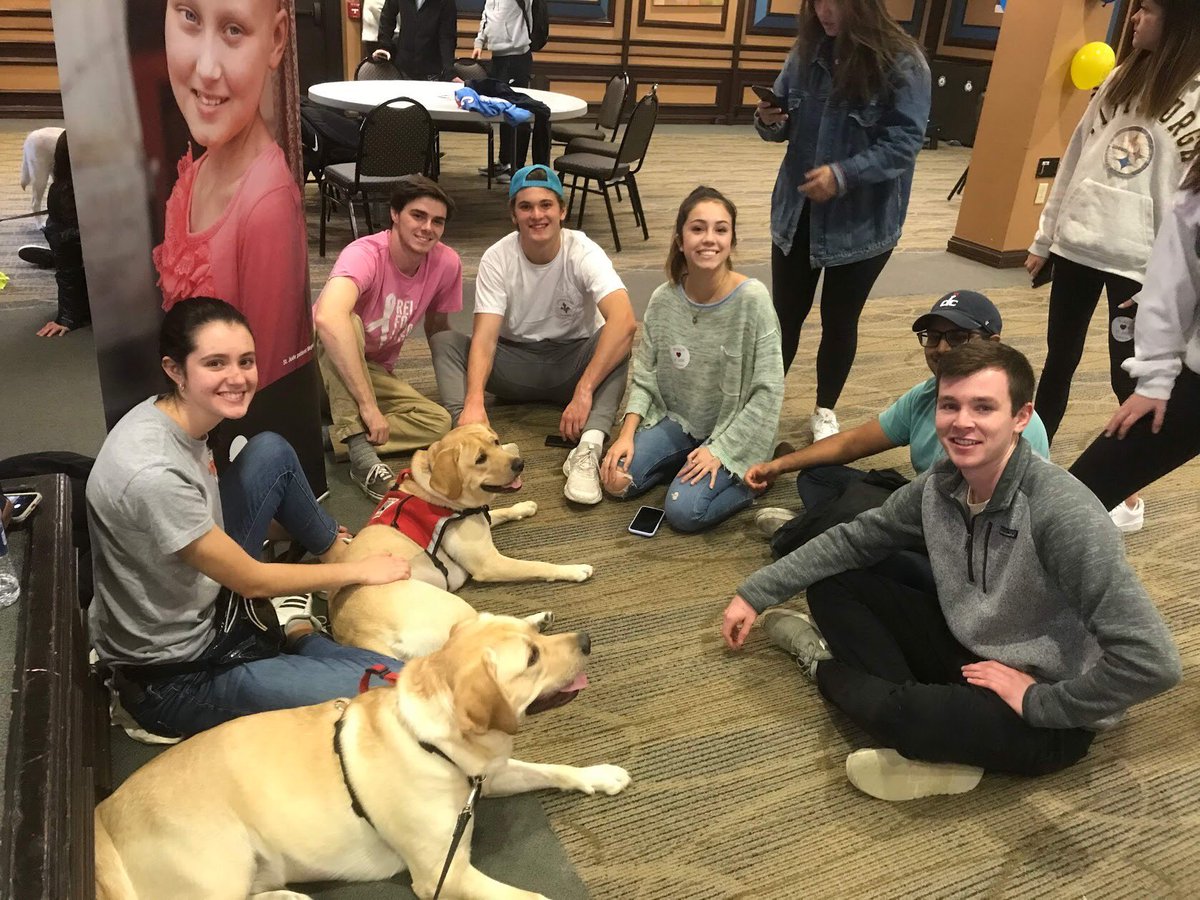 Pitt Tri Delta tweet media