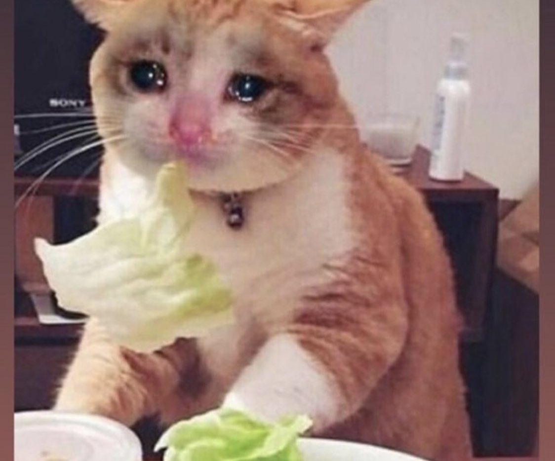 ___e2i's tweet image. 