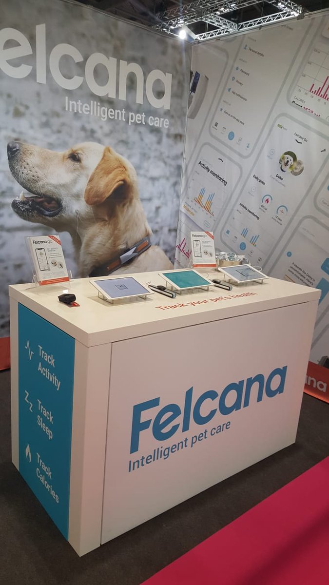 Felcana tweet media