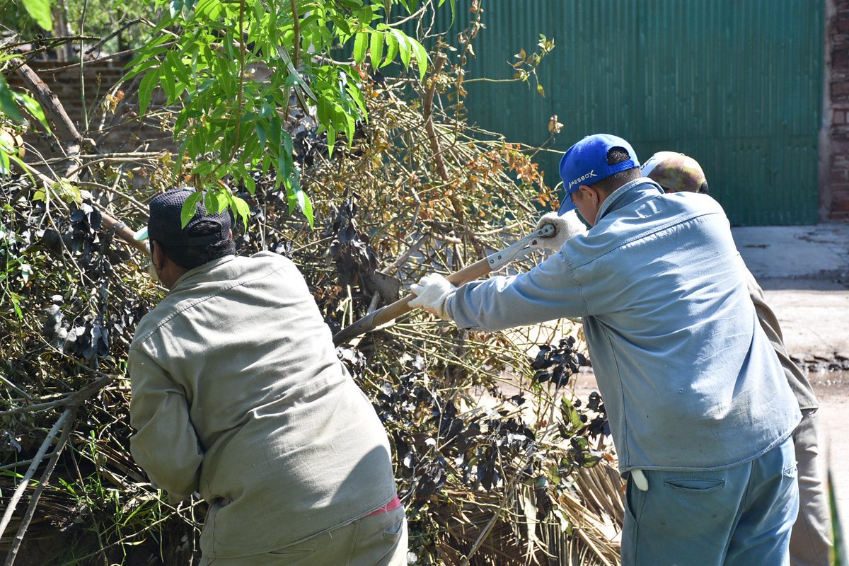 #LIMPIEZA

Durante la jornada del jueves, personal municipal llevan adelante recolección de ramas y descacharrado en distintos puntos de la ciudad.
#CharataNuestraPerla