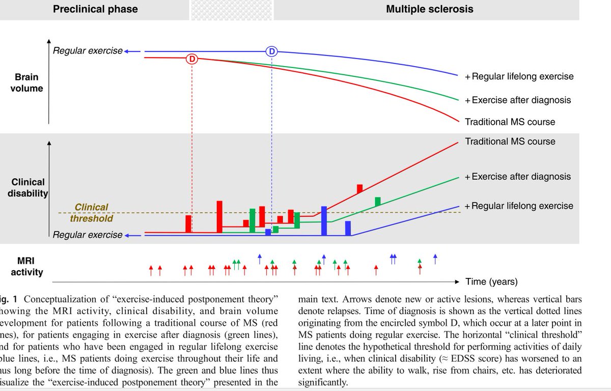 PhysioMeScience's tweet image. Exercise as Medicine in Multiple Sclerosis-Time for a Paradigm Shift: Preventive, Symptomatic, and Disease-Modifying Aspects and Perspectives.

👀👀👇👇

ncbi.nlm.nih.gov/pubmed/31720862