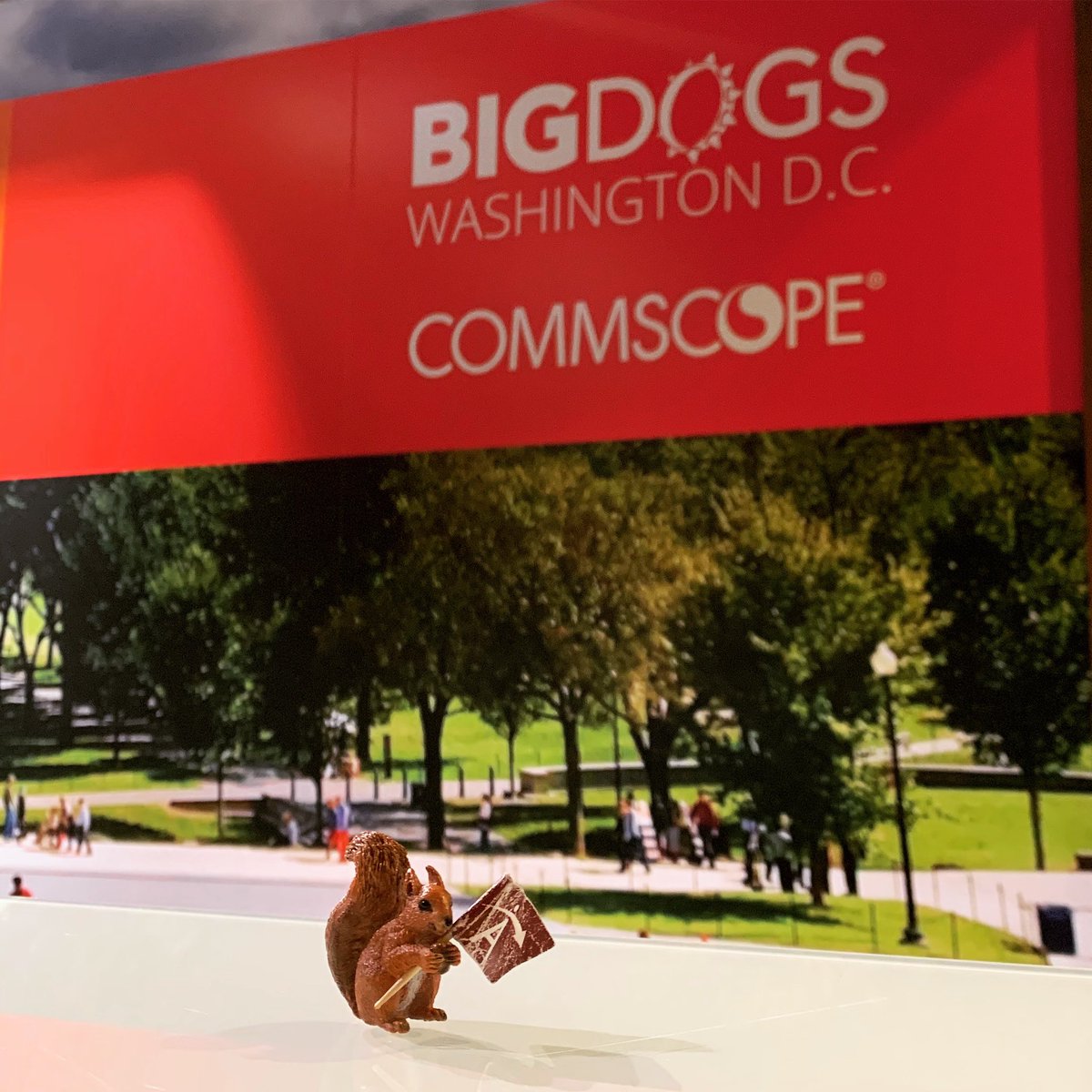 safetynetaccess's tweet image. SNAppy #runsoncommscope this week in DC! We are thrilled to be attending the @ruckusnetworks Big Dogs event! 🐶