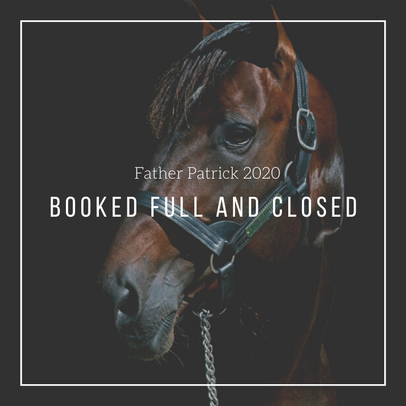 paddywagon11's tweet image. The Legend Continues! ☘️

#FatherPatrick