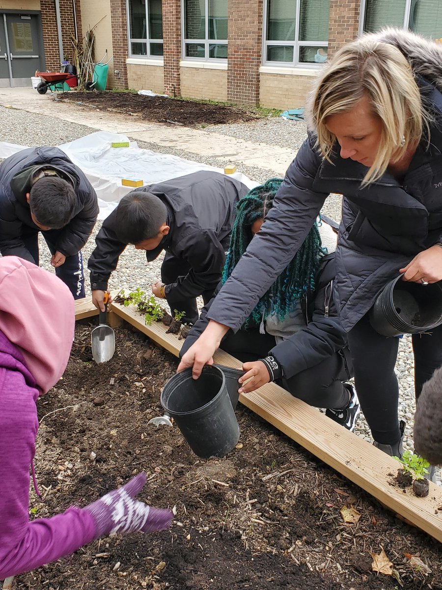 Heidi Cox tweet media