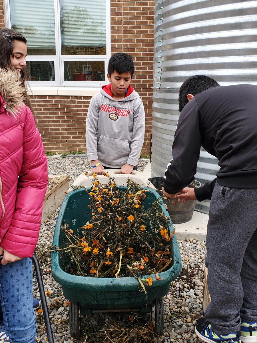 Heidi Cox tweet media