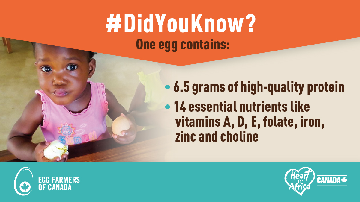 🍳 We're working with @eggsoeufs to provide consistent and nutritious food for the Swazi community. You can too! Join us in #CrackingHunger! Donate today: 🇺🇸US donors: bit.ly/EggProjectUS 🇨🇦 CA donors: bit.ly/EggProjectCA