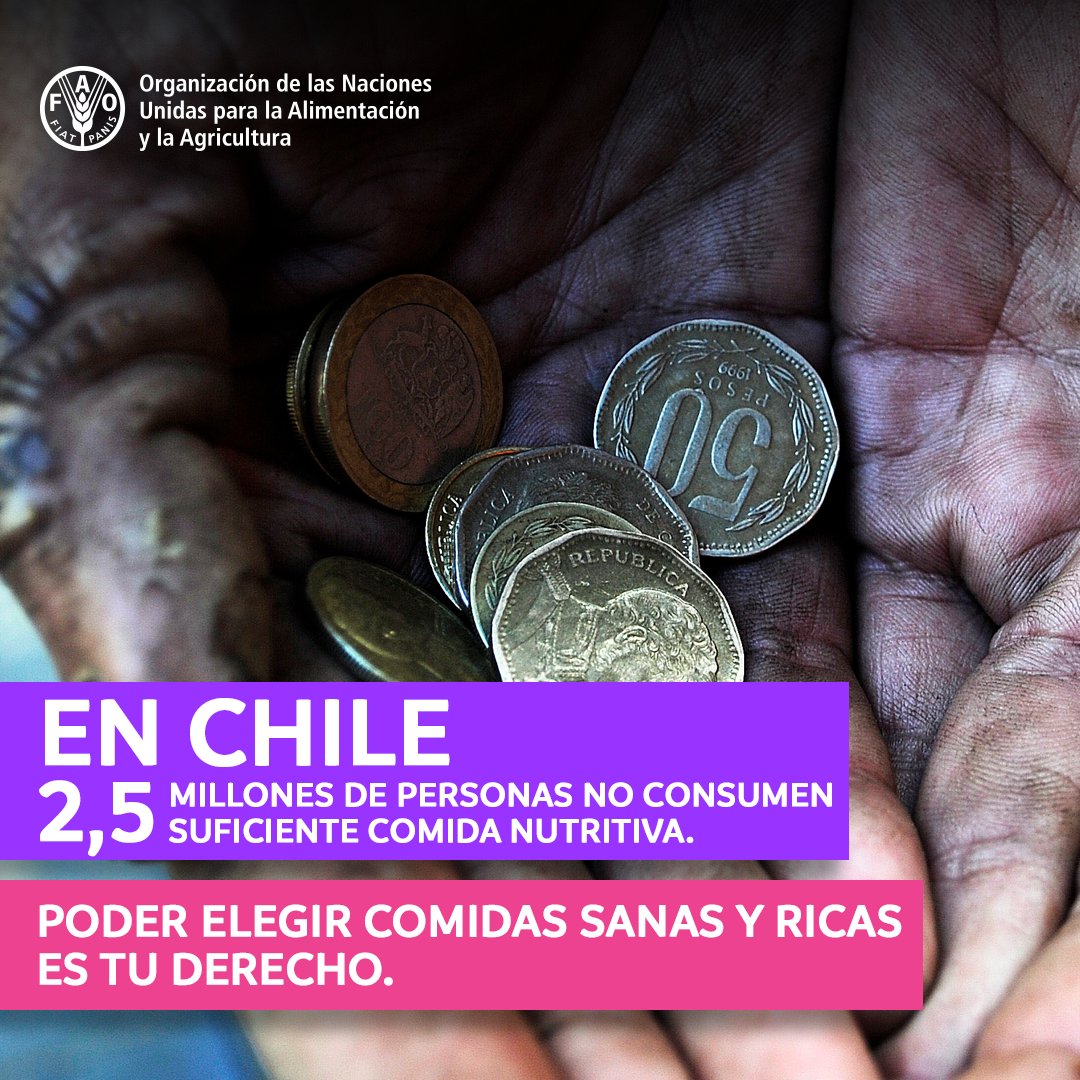 FAOChile's tweet photo. 🗣️El acceso a alimentos saludables, todos los días y en cualquier lugar es un derecho humano básico. #AlimentaciónEsDerecho https://t.co/w5XtoITBun