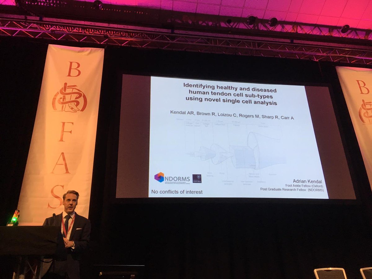 BOFAS_UK's tweet photo. Basic science research presented in free papers session. All linked too the foot and ankle. #BOFAS2019 https://t.co/oJgNTV61Nn