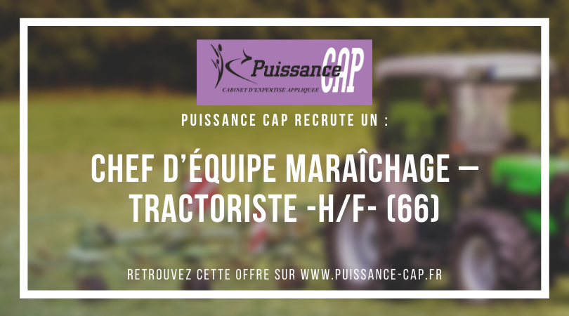 PuissanceCap_RH's tweet photo. Nous recrutons un Chef d’Équipe Maraîchage – Tractoriste (H/F) en CDI basé à Perpignan (66) #Emploi #maraichage #agro Plus d'infos : https://t.co/jYrwZeeBao https://t.co/lfMZgjtrzA
