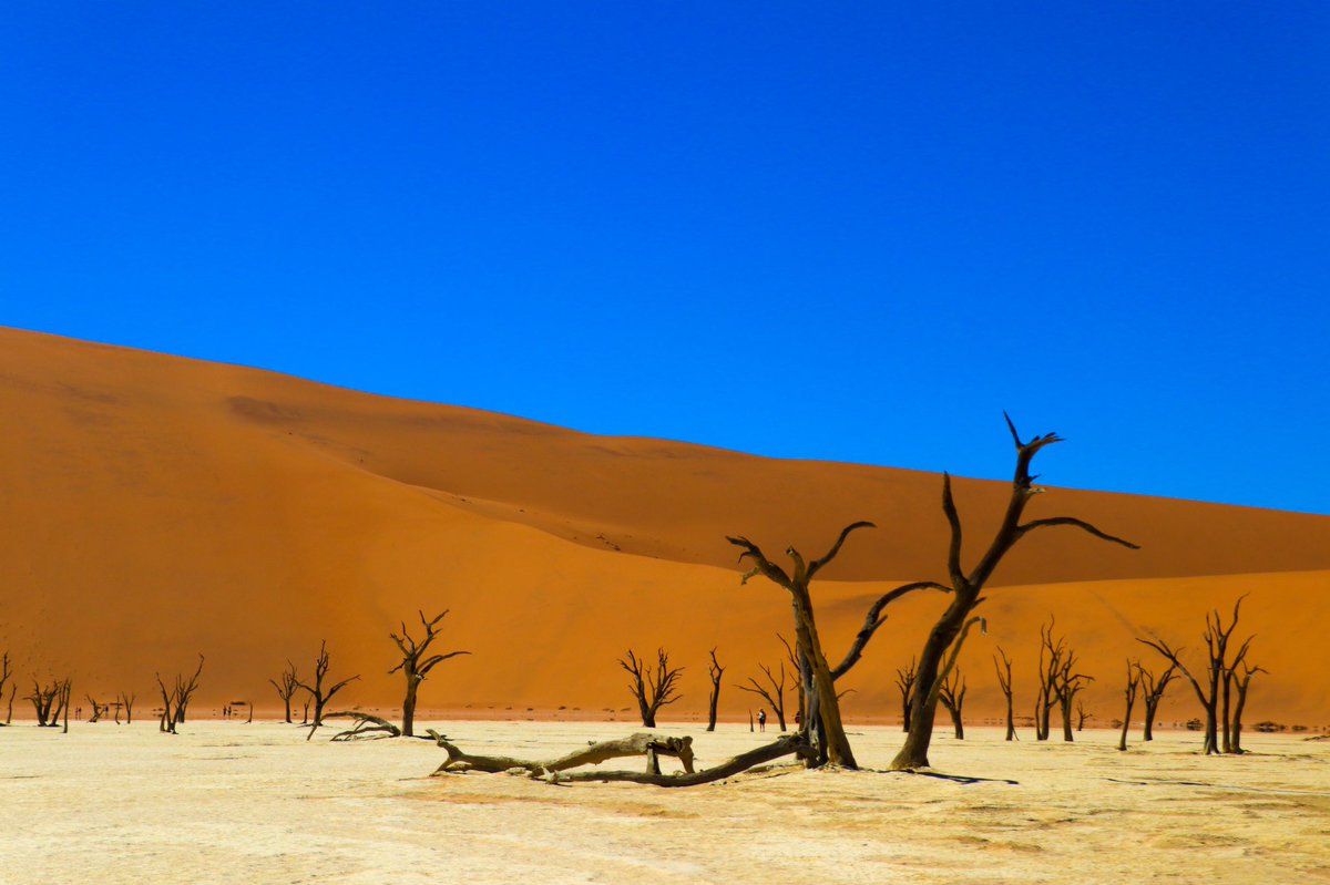 ぴきちん モロッコ エジプト Pa Twitter ナミブ砂漠のデッドフレイ 枯れた湖と木と砂漠と雲のない空が絵みたいで 写真家が死ぬまでに行きたい場所として有名 世界にこんな場所があるんだ とため息がでます ナミビア