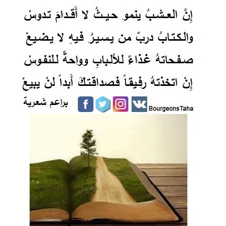 BourgeonsTaha's tweet photo. #بستان_من_كل_واد_برعم
#الكتاب طريق لا يضيع من سار فيه
#براعم_شعرية https://t.co/BlgjLtvv2C