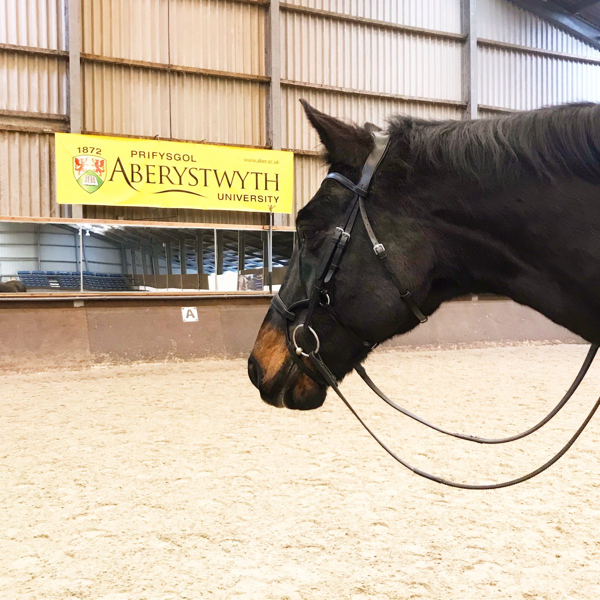 Chrissy Asplin tweet media