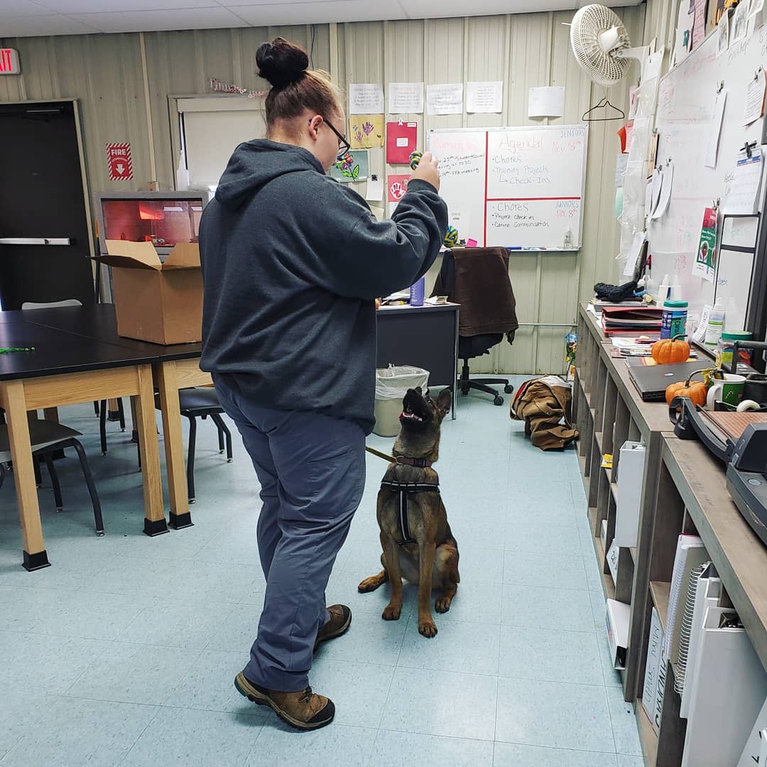 FLTCC_AnSci_1's tweet photo. Our seniors have been working hard on their animal training projects!
#wearefltcc #wflboces #fltccanimalscience #fltcc https://t.co/ULsDZwcshG