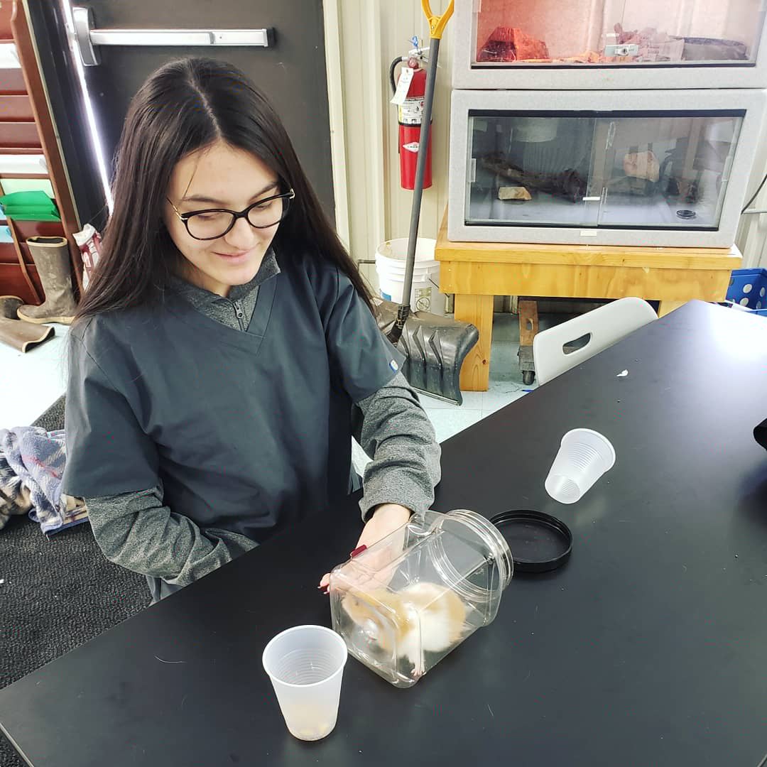 FLTCC_AnSci_1's tweet photo. Our seniors have been working hard on their animal training projects!
#wearefltcc #wflboces #fltccanimalscience #fltcc https://t.co/ULsDZwcshG