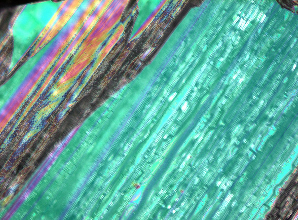 erin_rod_phd's tweet image. Sodium chloride (NaCl) or table salt. 
Can you believe something you eat everyday is so beautiful? 
Human adults contain ~250 g of NaCl! 
#RealTimeElements #IYPT2019 #RealTimeChem #Chemistry #sciart #SciComm #Science #Chemtwitter @cenmag @RealTimeChem