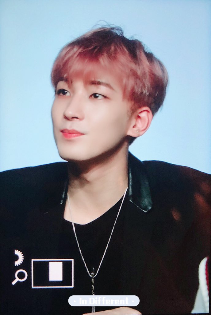 mywonflower's tweet photo. wonwoo stans can stop making edits of wonwoo with pink hair, wonwoo with blue hair, wonwoo with purple hair now!! he's done them all 🤩 https://t.co/tUTuHPnxlN