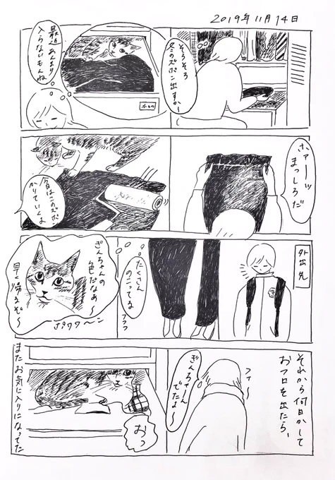 2019/11/14のぎんちゃん  #今日のぎんちゃん 