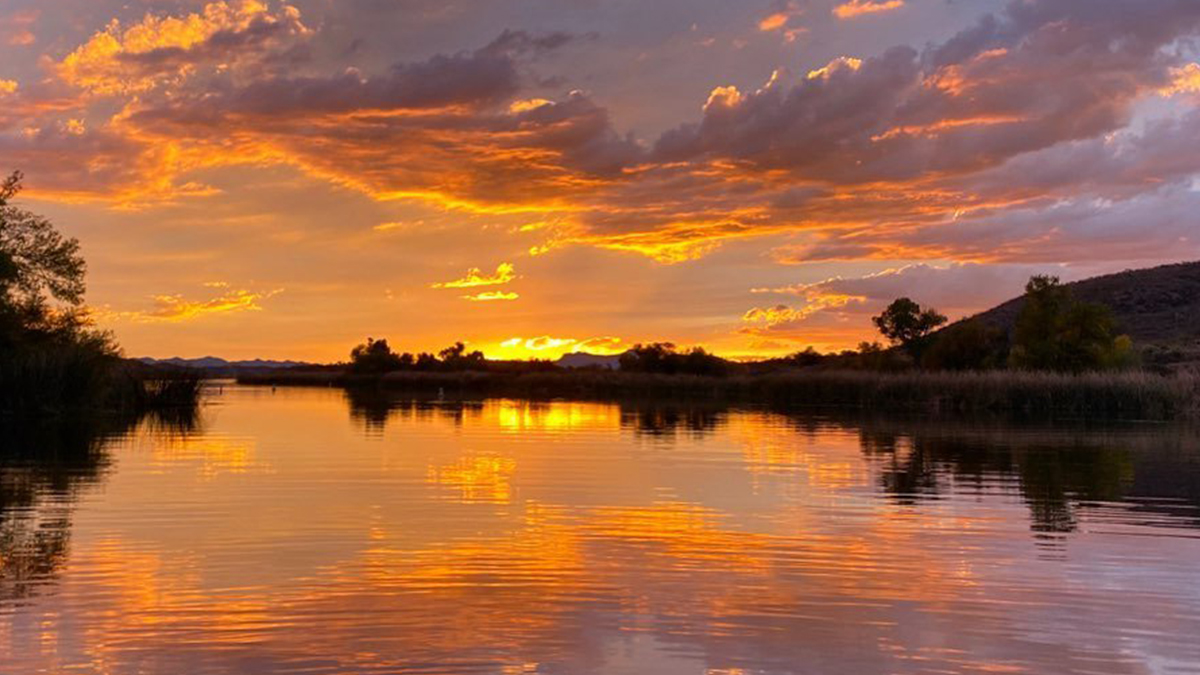 NatwideRVglass's tweet photo. Visit this gorgeous park and take advantage of fun events like boat tours and bird walks! Plus...Patagonia Lake really knows how to show off a #sunset! https://t.co/ffAJR4BZHv https://t.co/NBkdws2NPQ #RVTRAVEL #USA #NWRVGlass #RVGLASS #RVLIFE #RVArizona