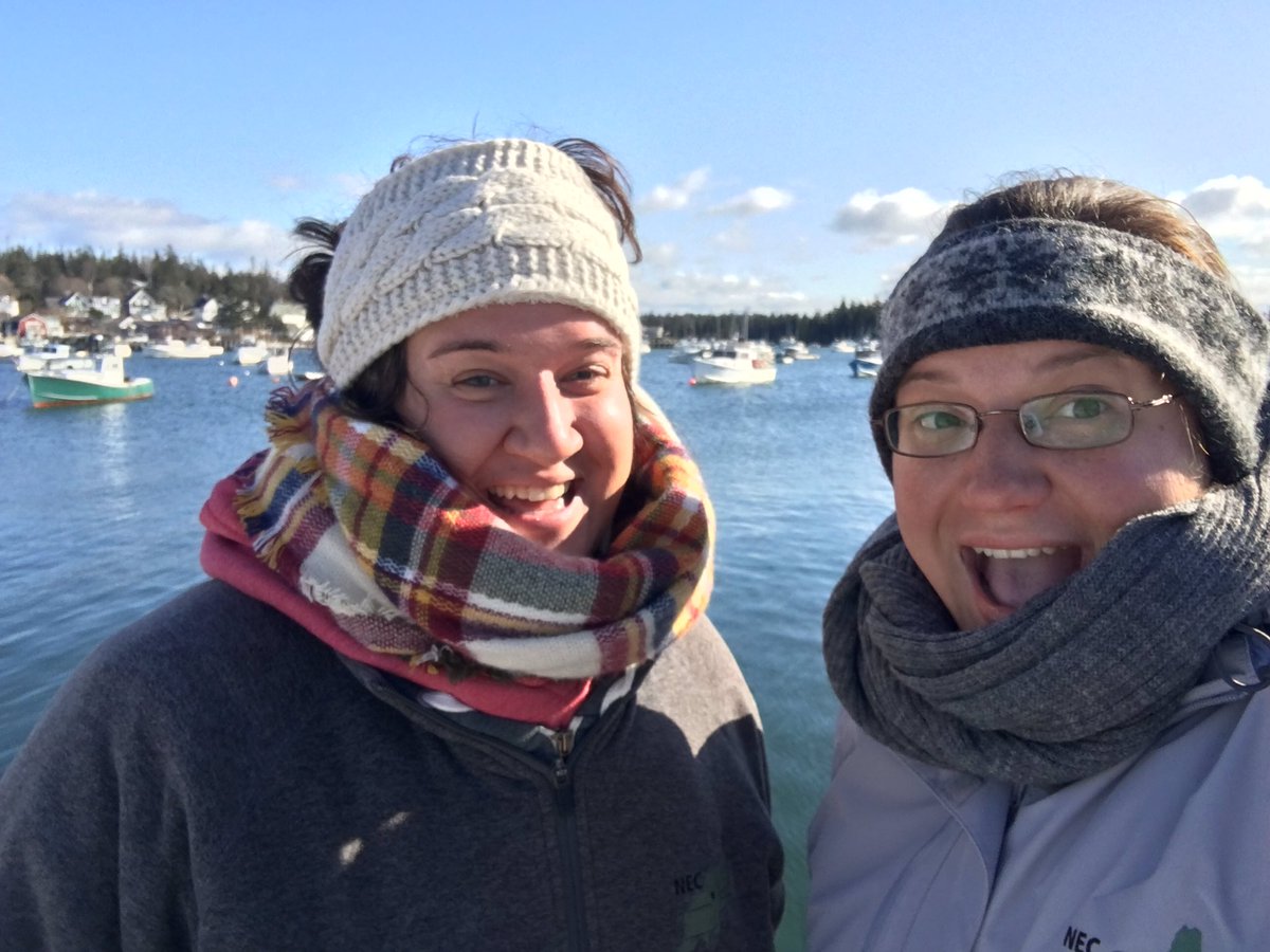 We reached 1000+ lifejackets in Vinalhaven!

Huge thanks to everyone who spread the word and came to see us!

Today (11/14) we are set up in the Mackerel Cove Town Parking Lot!