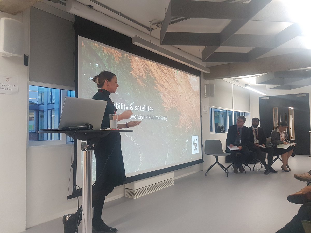 FinanceSpatial's tweet image. @sschmittox  Nature and #SpatialFinance Lead introducing and moderating our second panel discussion around #Impact measurement! Interesting work they&apos;ve been doing with @investecam_uk around environmental risk for sovereign debt. @Geovation