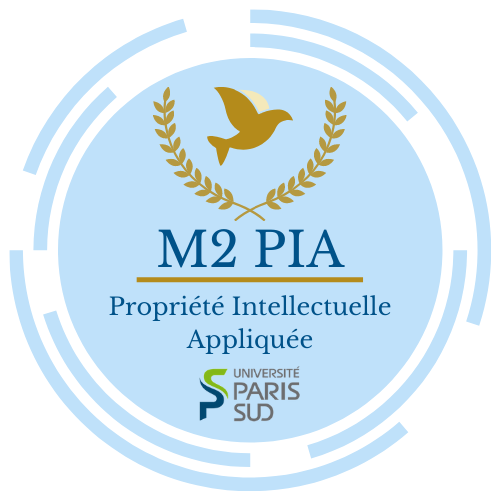 M2PIA_UPSUD's tweet photo. La promotion 2019-2020 est ravie de vous dévoiler son nouveau logo! #ipitfamily 
Cc @JulieGroffe https://t.co/rdnb1fx7C9