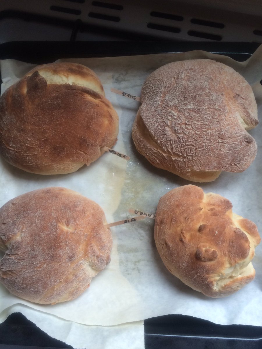 Denizli Doğa Koleji öğrencileri buğdayın serüvenine ortak oldu. <a href="/Ozgukryrr/">Özgü Onur</a> <a href="/VolkanKurnaz11/">Volkan Kurnaz</a> <a href="/DogaDenizli/">Doğa Denizli</a> <a href="/MerveTopcuoglu/">Merve Topçuoğlu</a> <a href="/KvancBarlas/">Kıvanç Barlas 🇹🇷</a>