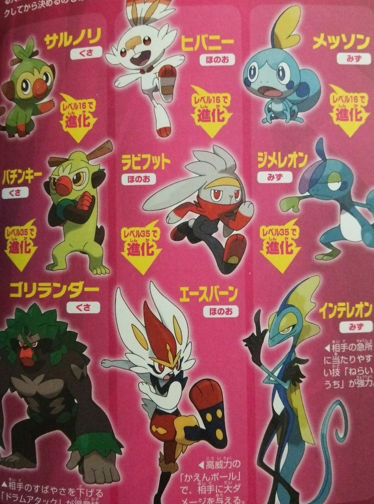 紫音 しおん サルノリ ヒバニー メッソン みんなどれ選ぶん わい 可愛さ的にヒバニー かっこよさ的に ヒバニー とメッソンの最終進化系が好みやねんけど ゴウカザルほどかっこいい猿はもうないと思う わいがやり始める時は 2択で30分迷いそう T